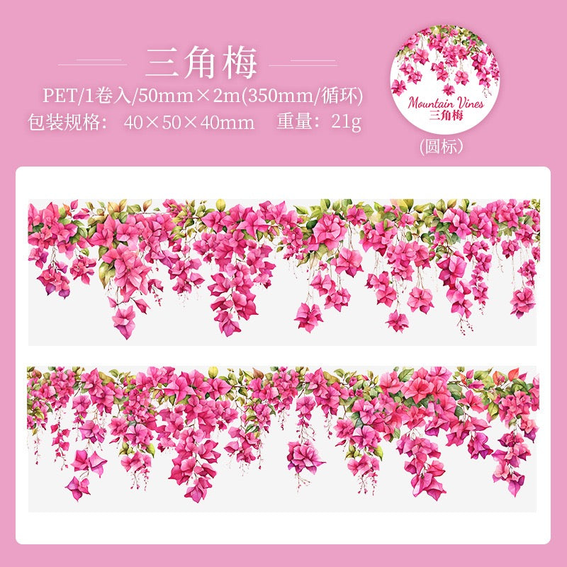 Ruban PET série Branches et vignes sauvages — 2M