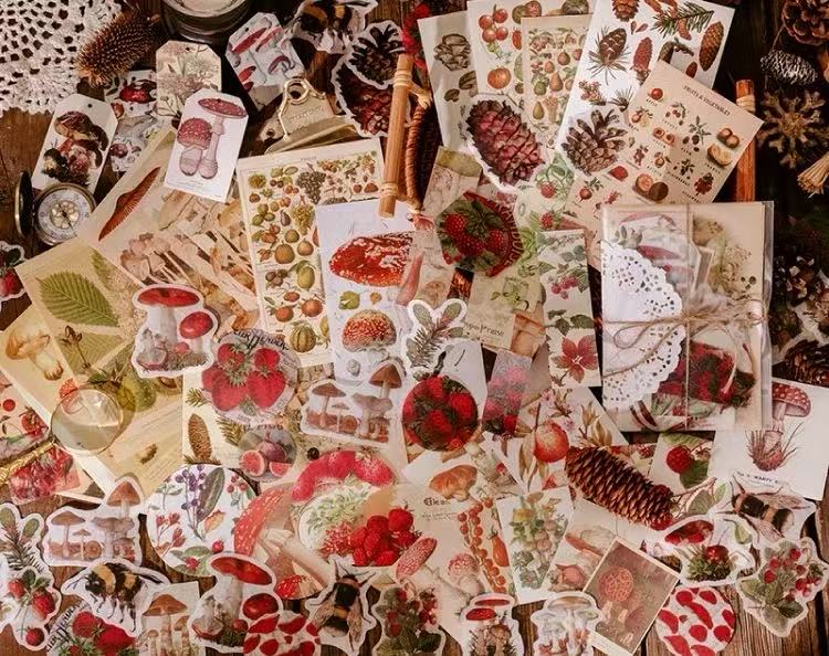 Specimen Collection Series Material Pack — 80 Sheets